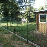 katzenauslauf netzschkau fortschritt fertig