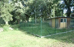 katzenauslauf netzschkau fortschritt gesamt