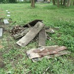 katzenauslauf netzschkau fortschritt muell