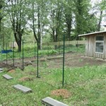 katzenauslauf netzschkau fortschritt randsteine