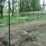 katzenauslauf netzschkau fortschritt zaunpfaehle