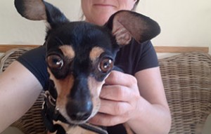 hund henry beinoperation annett