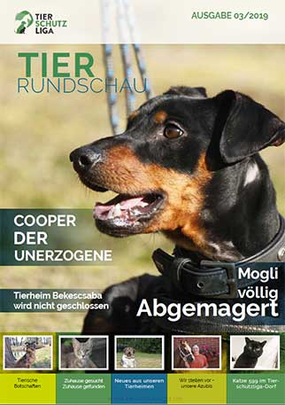 tierrundschau 03 19 titel