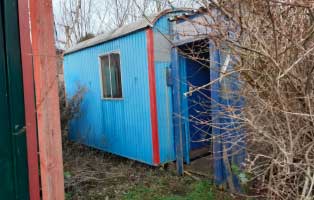 katzen wild zuhause gefunden bauwagen aussen