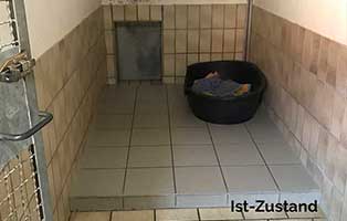 neubau hundetrakt bueckeburg hundezimmer