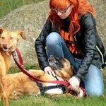 hund prinz verstorben kuschelt