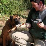 hund prinz verstorben nascht