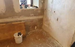 update adam laeuft thueringen sanierung ecke