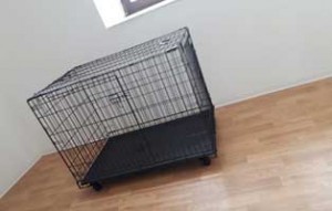 update adam laeuft thueringen sanierung kaefig