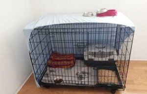 update adam laeuft thueringen sanierung kaefig neu