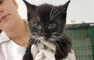 hoelzchen hobel thueringen hobel