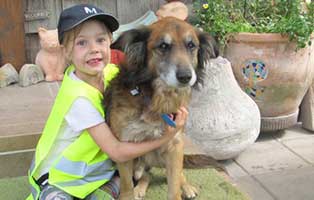 hund spike sarah patentier