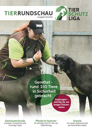 tierrundschau 2 20 klein