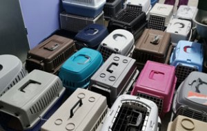 40 katzen fangaktion transportboxen