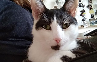 clyde zuhause gefunden portrait