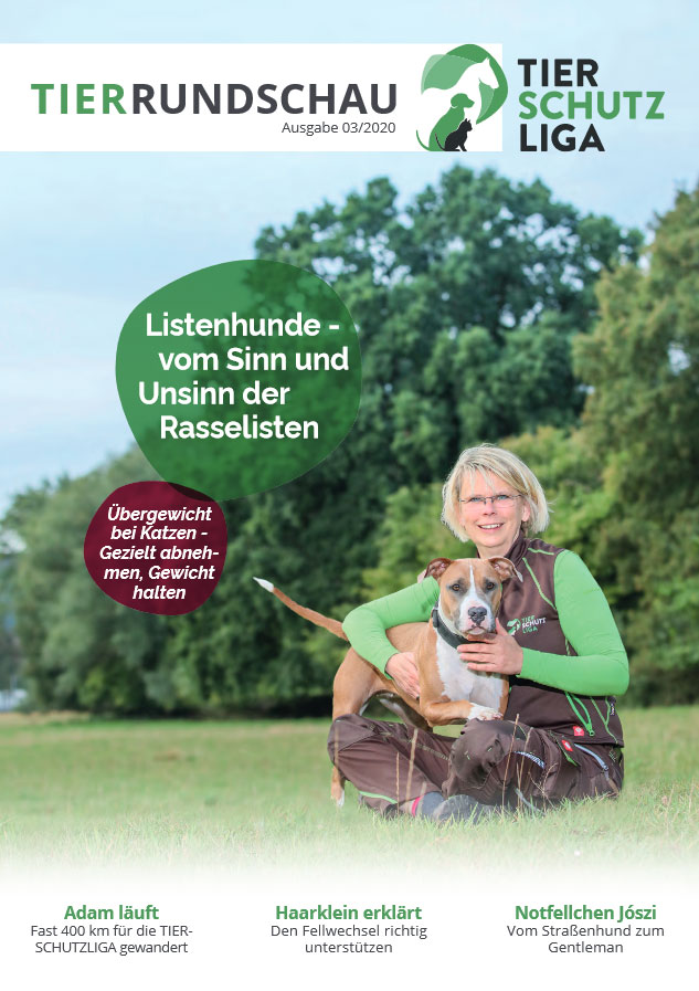 tierrundschau 03 20 titel