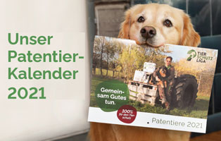 Kalender jetzt online bestellen beitrag