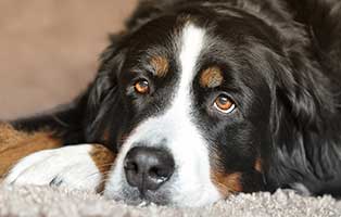 kuehnemund blog glaukom