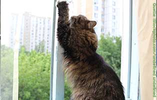 kuehnemund blog kippfenster