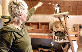 beitragsbild jahresbericht muenchen 2020