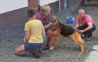 beitragsbild jahresbericht unterheinsdorf 2019