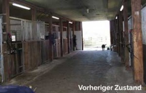 boxenstall vorher jahresbericht wardenburg 2019