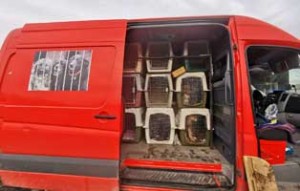 polenhunde ankunft transporter