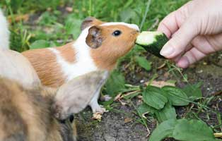 beitragsbild jahresbericht freising 2019 20