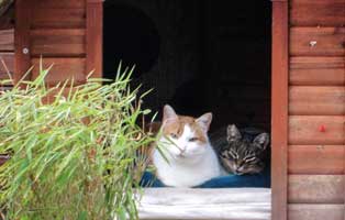 beitragsbild jahresbericht oberdinger moos 2018 20