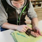 eichhoernchenbaby unterkuehlt gerettet streicheln