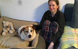 hund bilbo zuhause gefunden frauchen