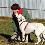 hund piper zuhause gesucht3