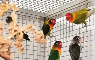 jahresbericht wollaberg 2020 sitteche