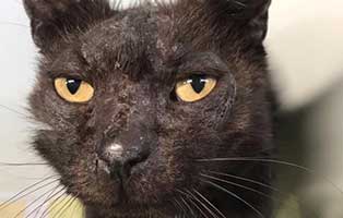 kater spencer bueckeburg verstorben prtrait