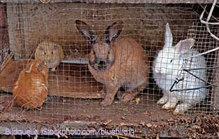 beitragsbild danke maerz