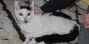 danke maerz schauferl