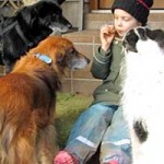 hund spike verstorben freunde