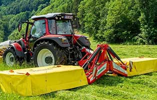 katze mähwerk schwer verletzt