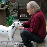 hund nala dalmatiner weiblich patentier01