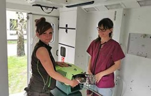 impressionen arbeit kastrationsmobil04