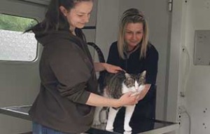 impressionen arbeit kastrationsmobil08