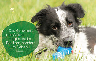 patenschaft postkarten