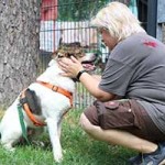 hund bobby notfall06