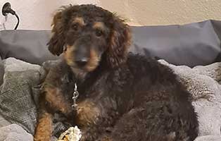 karli-ist-eine-tolle-bereicherung