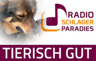 schlagerparde beitrag