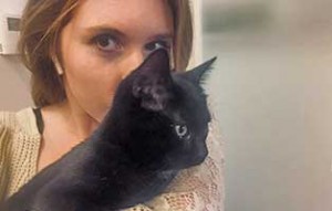 katze frieda kalia zuhause gefunden frauchen