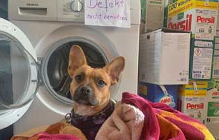 waschmaschine mr mago neu