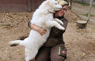 SH130 21 Wladimir 03