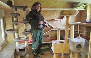 neuer beheizter raum katzen