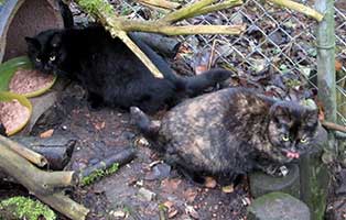 neuzugaenge oberding franzi emilia